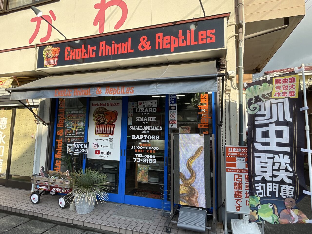 Exotic Animal ＆ Reptiles BUDDY（レプタイルズショップ バディ）